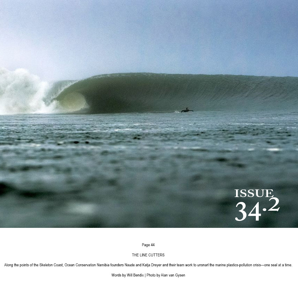 The Surfers Journals - Select Issues