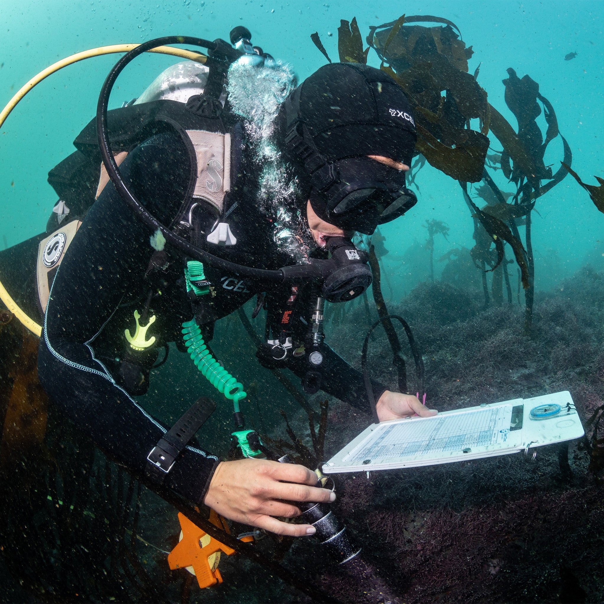 Womens Thermoflex Dive Full Wetsuit 5/4mm