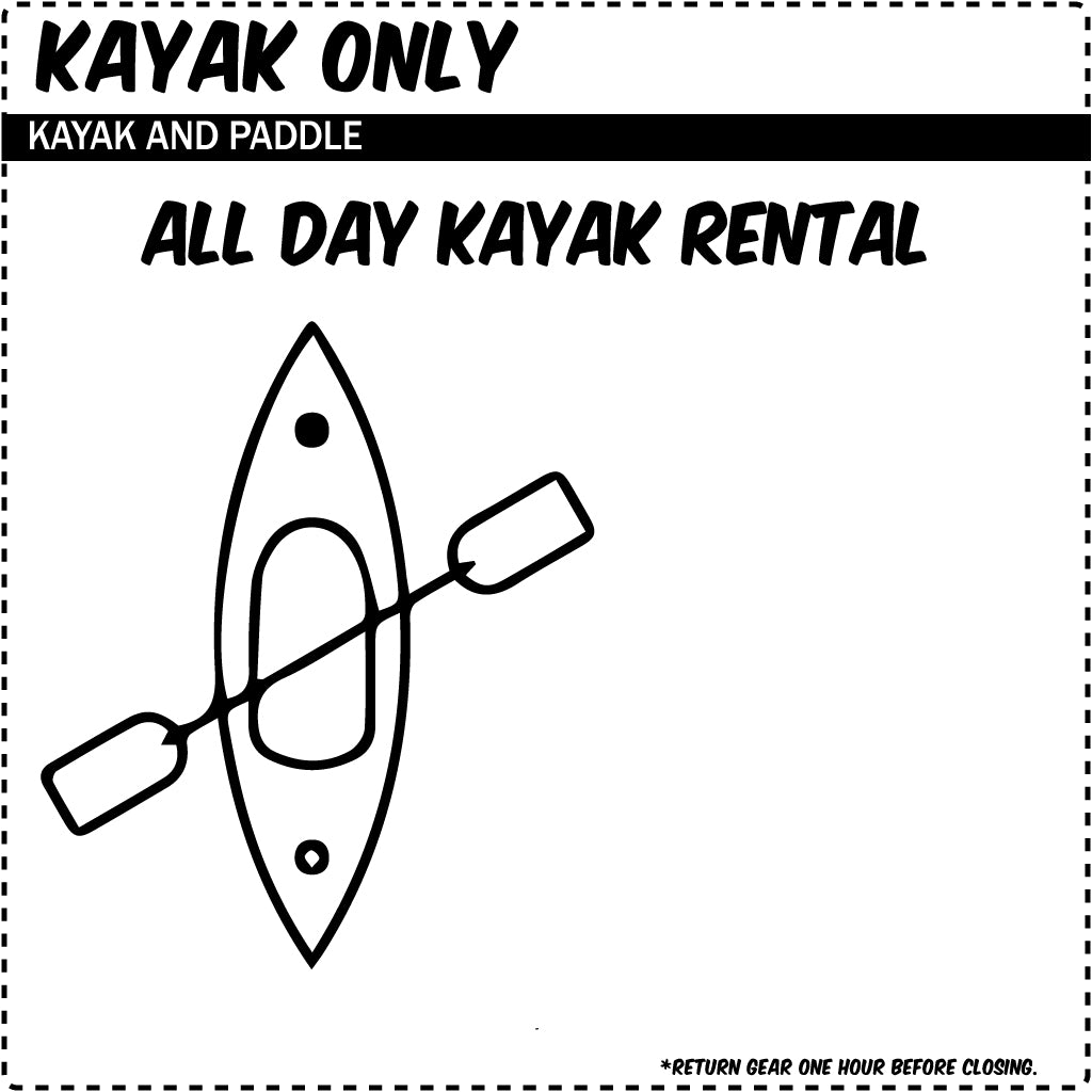 Surfboard, Bodyboard, Skimboard & Stand-Up Paddleboard Rentals