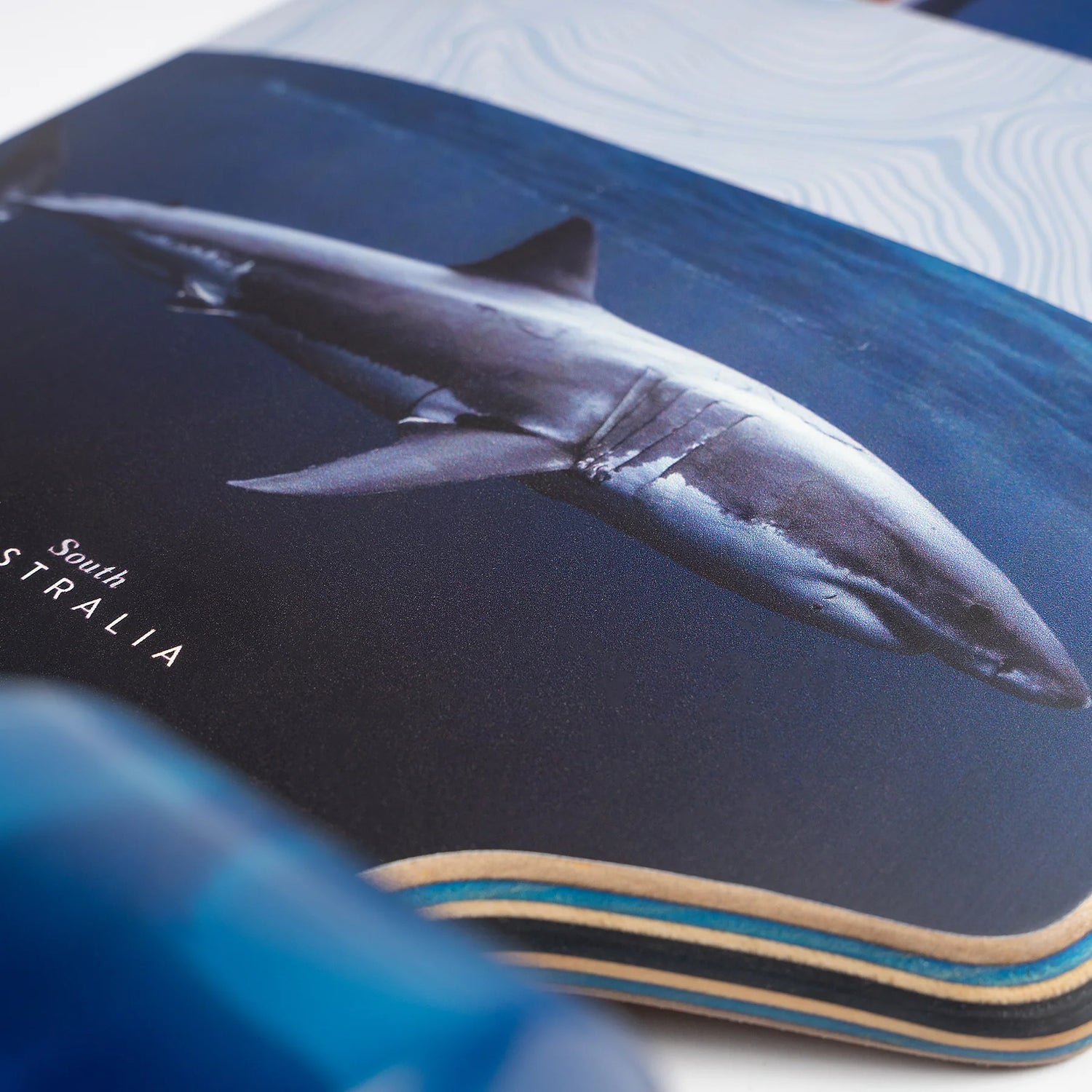 Sector 9 Meridian Rips Complete 40.0&quot;