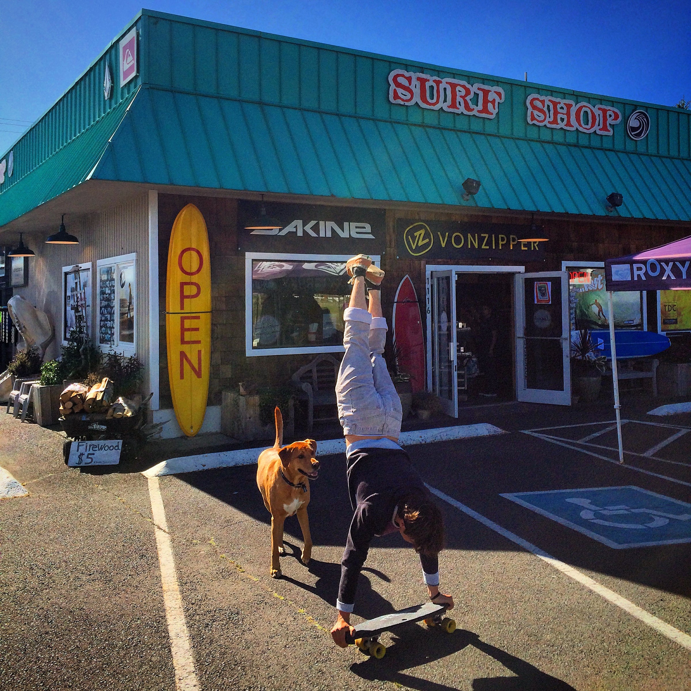 Picture of Surf Shop with Employee Skating upside down and the Shop Dog following