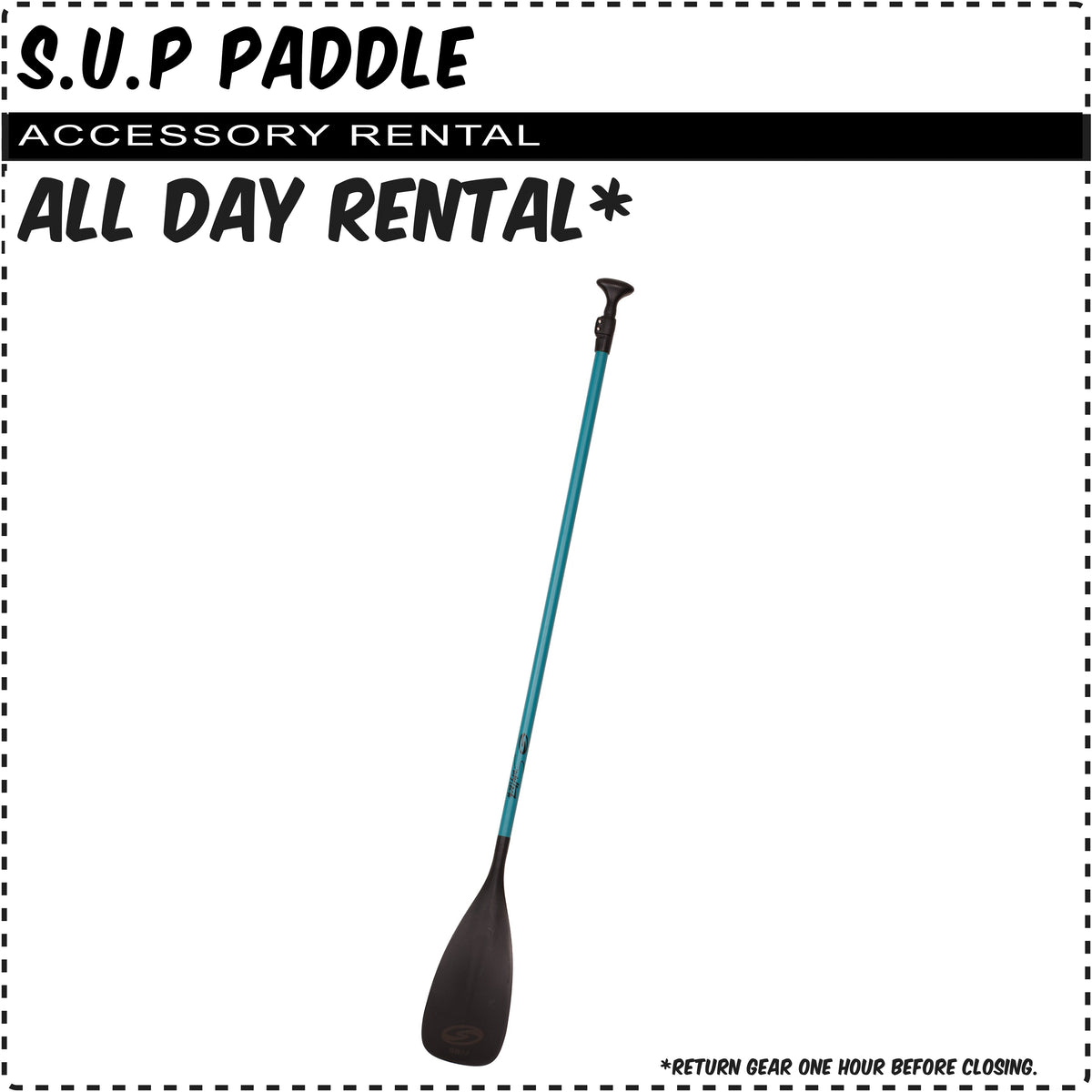 s.u.p paddle rental
