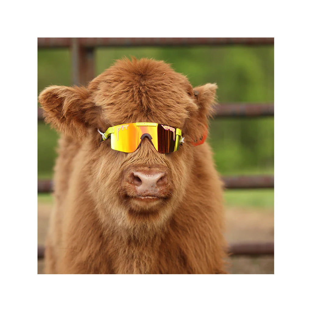 Pit Viper Sunglasses - The 1993 Polarized Single Wides