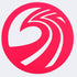 SSS - OG Wave Transfer Sticker - 4.25" - Hot Pink